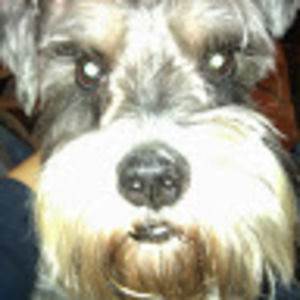 Meet your Posher, Walter